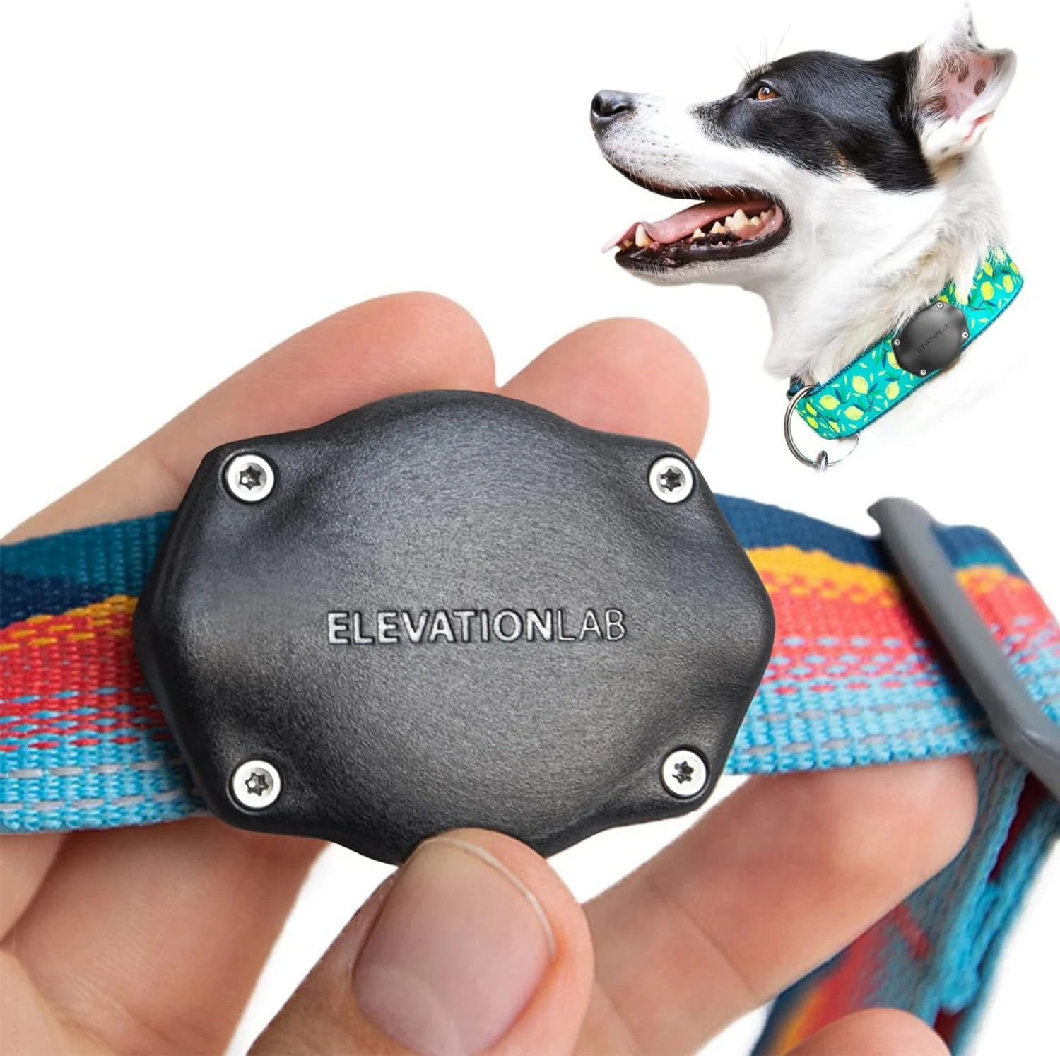 Elevation Lab AirTag Dog Collar Holder