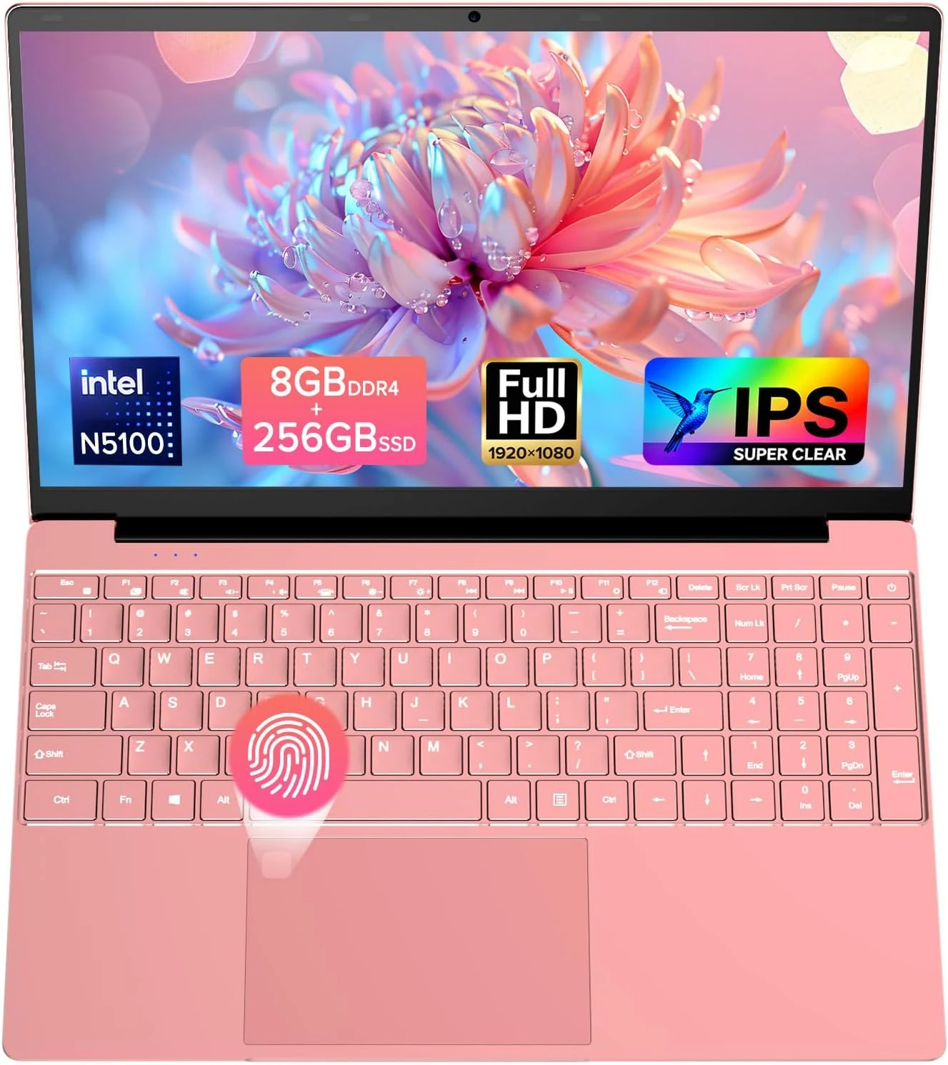 Molegar 2026 Latest Laptop Computer Notebook (15.6" IPS FHD, Celeron N5100, 8GB/256GB, Fingerprint, Rose Gold)