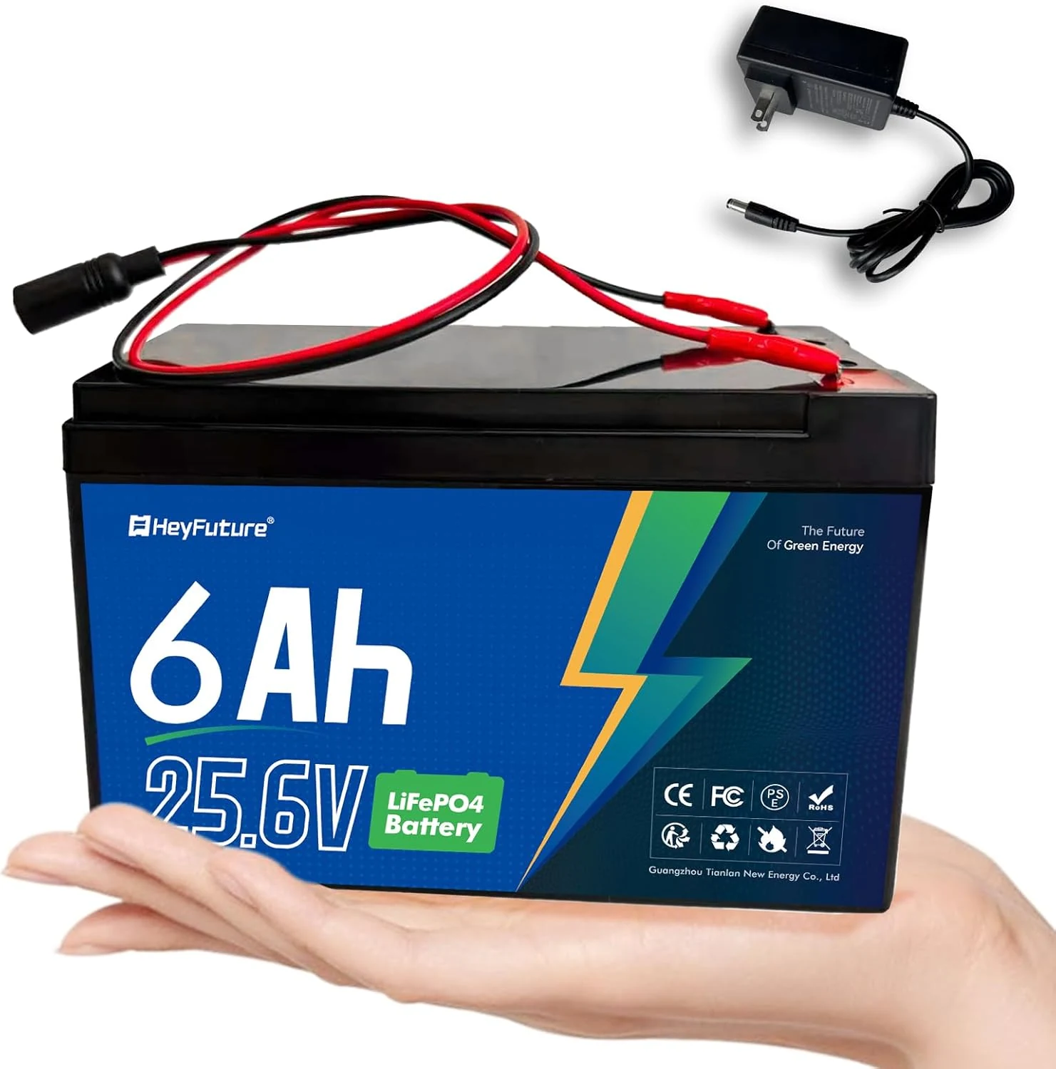 24V 6Ah LiFePO4 Battery Pack with 29.4V 1A Charger, 6A BMS