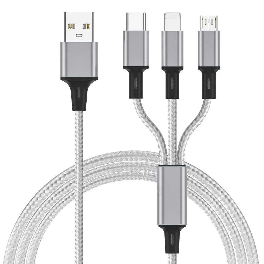 USB Charge Cable with Micro and Type C for E-Readers (ienza)
