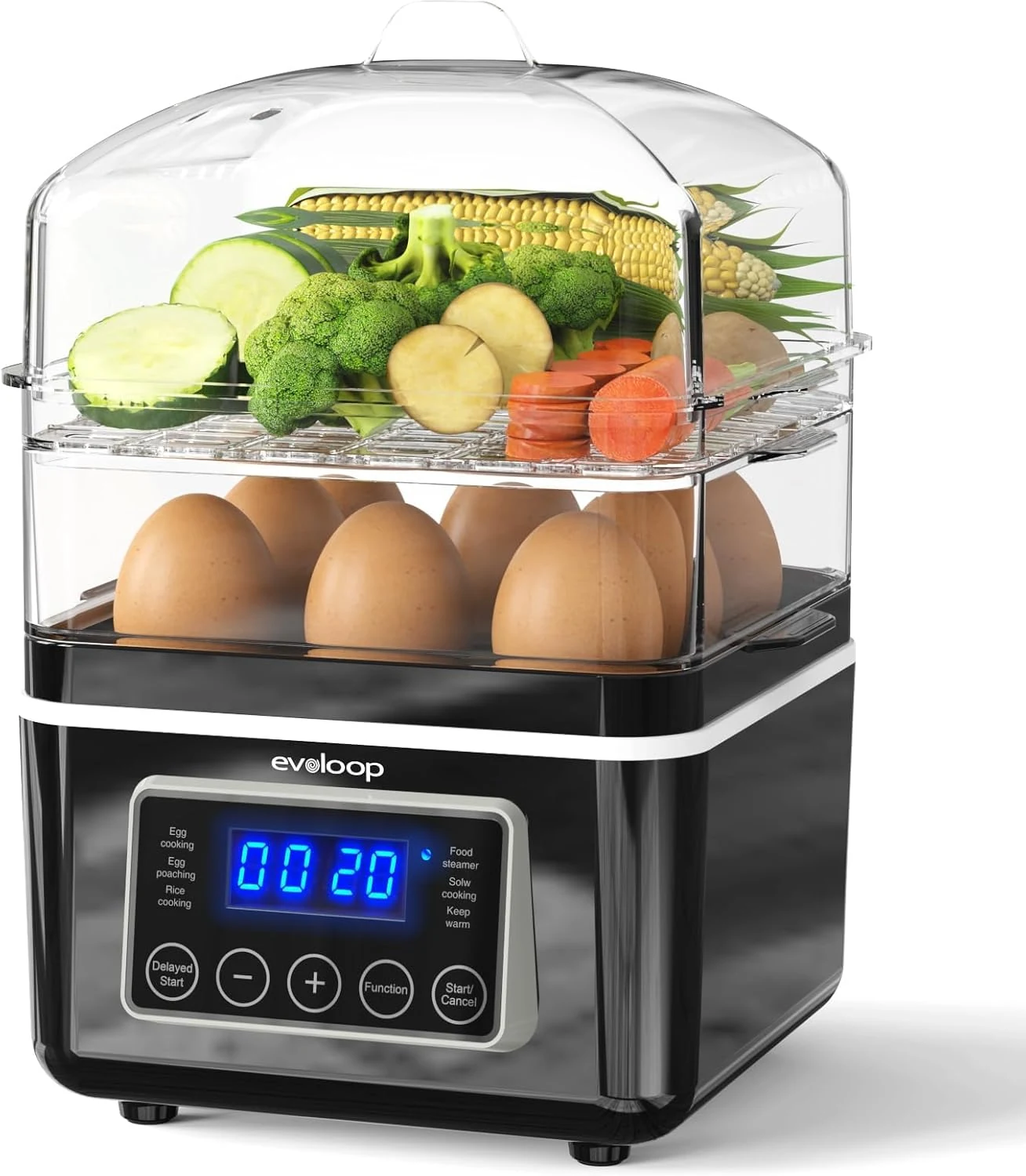 2 Tiers Electric Food Steamer for Cooking, 4 QT Digital review