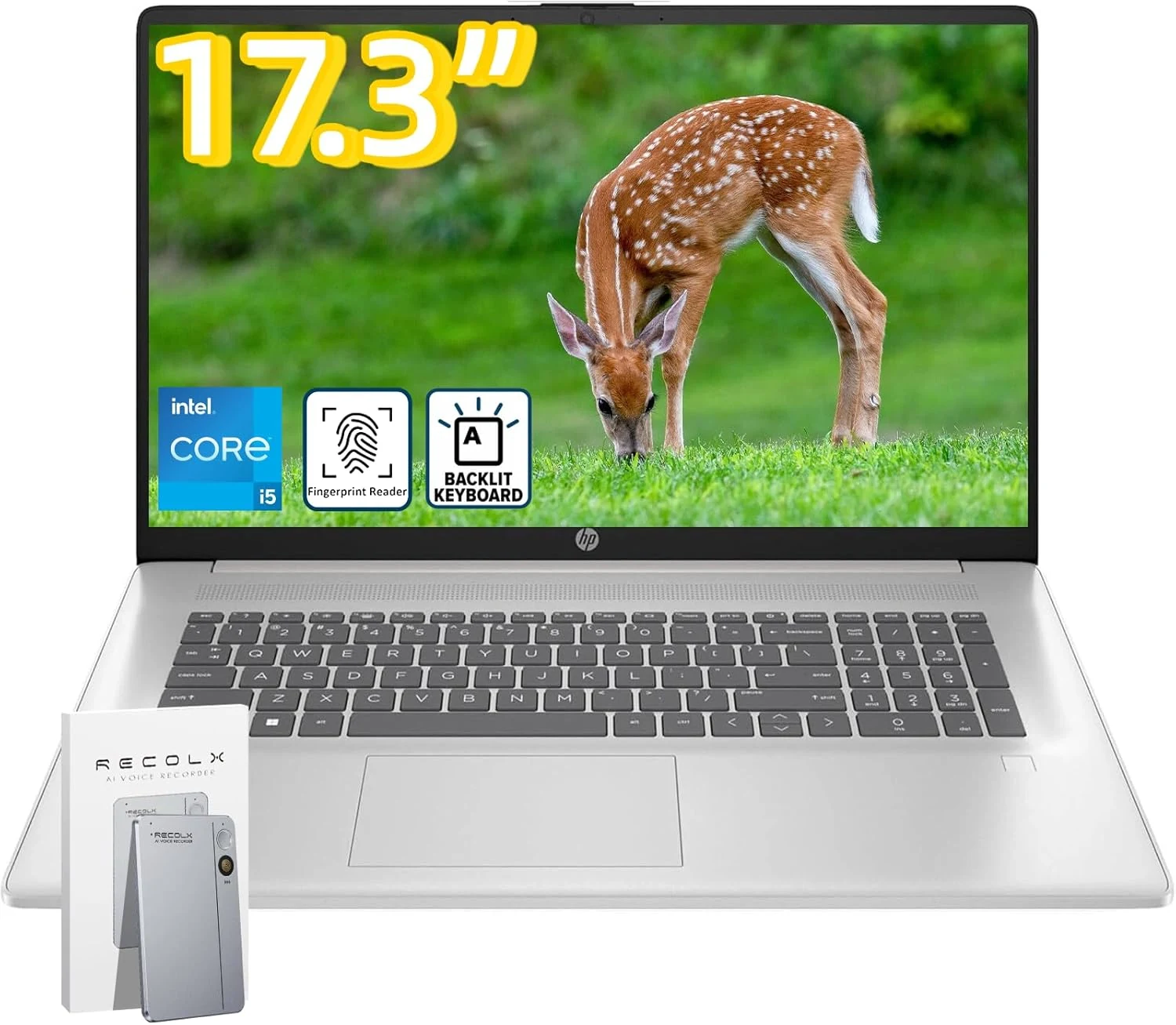 HP 17 Inch Business Laptop, Intel i5-1334U (Up to 4.6 GHz), 17.3" HD+ BrightView 250 nits, Wi‑Fi 6, 20GB RAM, 512GB SSD, Backlit Keyboard, Fingerprint Reader, Windows 11 Pro