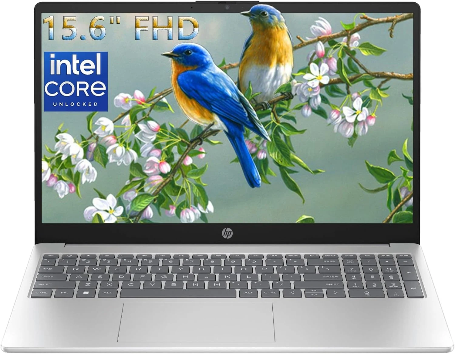 HP Notebook 15.6 FHD Laptop Computer with Microsoft Office 365, 16GB DDR4 RAM, 512GB SSD, Intel 4-Core N100 CPU, 2026 Edition